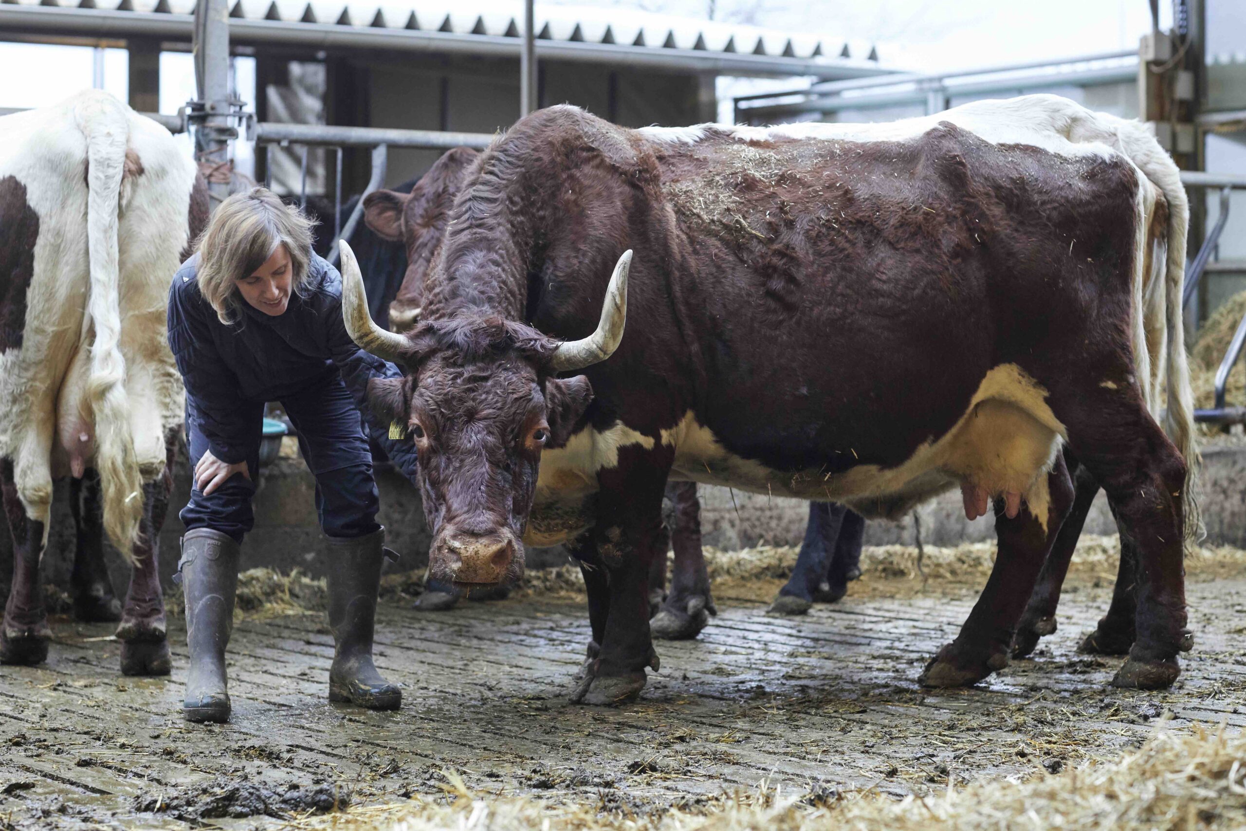 Helga Bernold: „So ein Rinderleben ist bei mir echt fein“