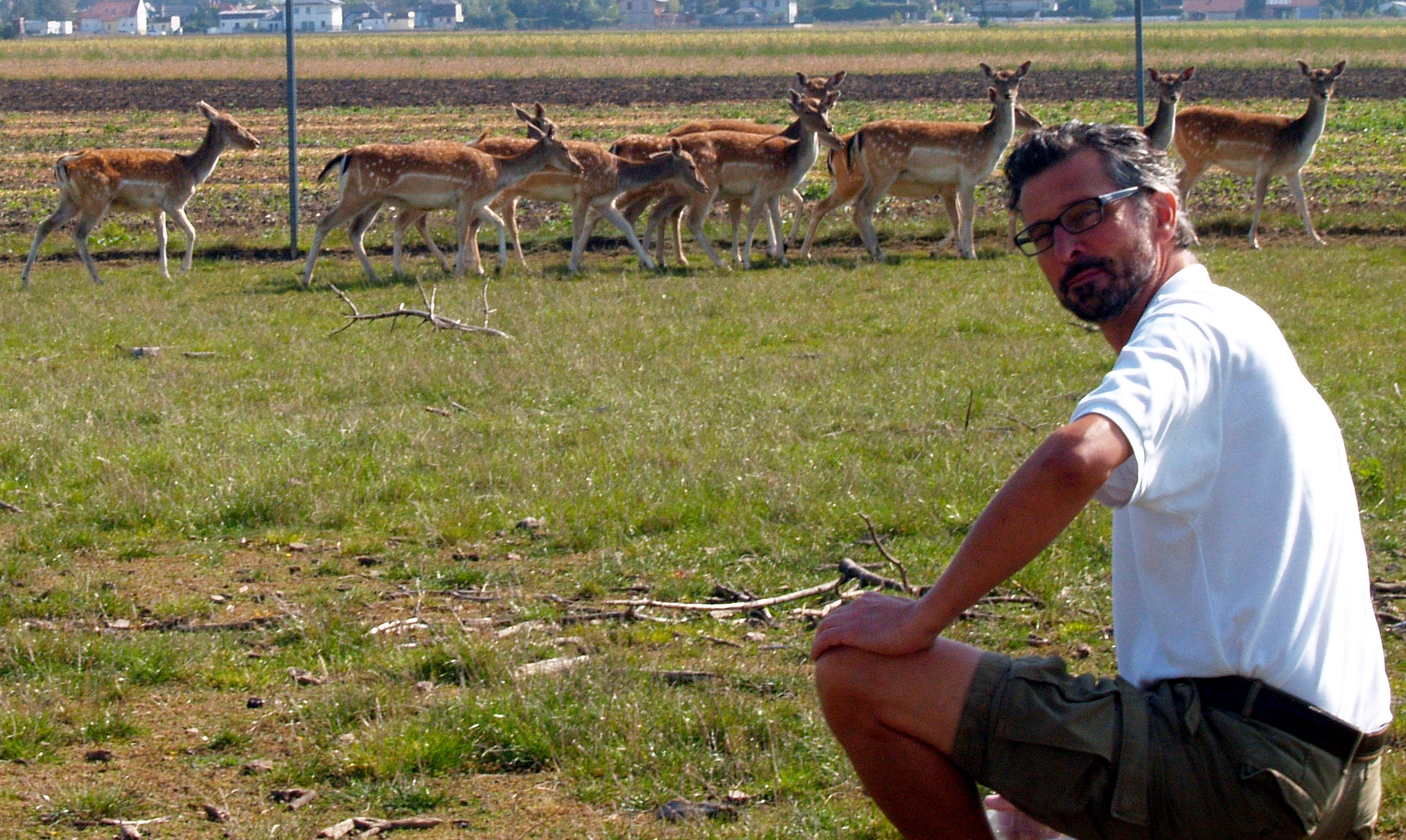 In Hennersdorf geht es wild zu