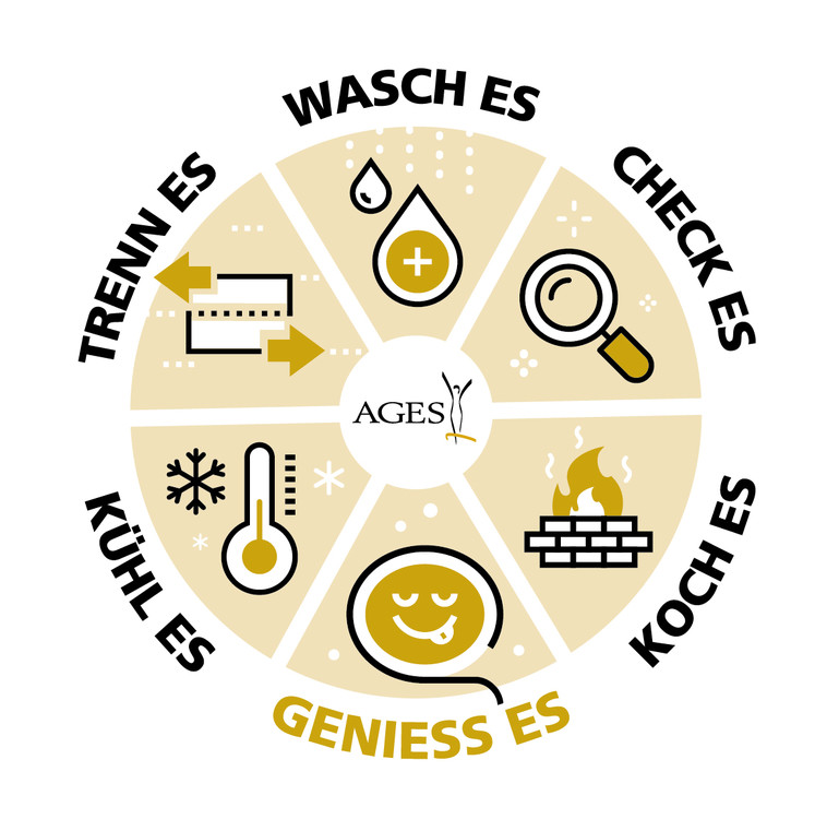 Welt-Lebensmittelsicherheitstag – Die Infektionen entstehen zu Hause