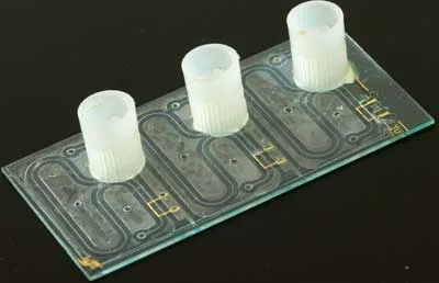 Forscher entwickeln Chip für die Bodenuntersuchung