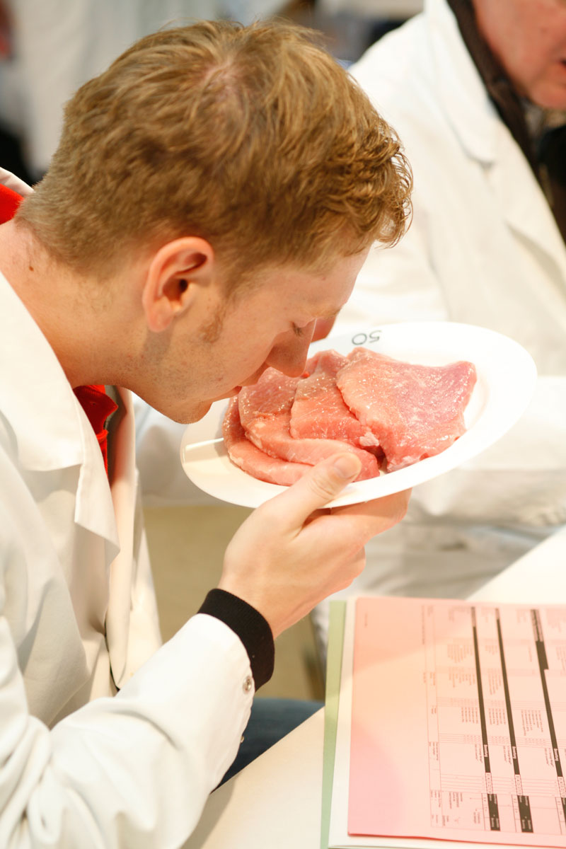 Neues zum Thema Eberfleisch