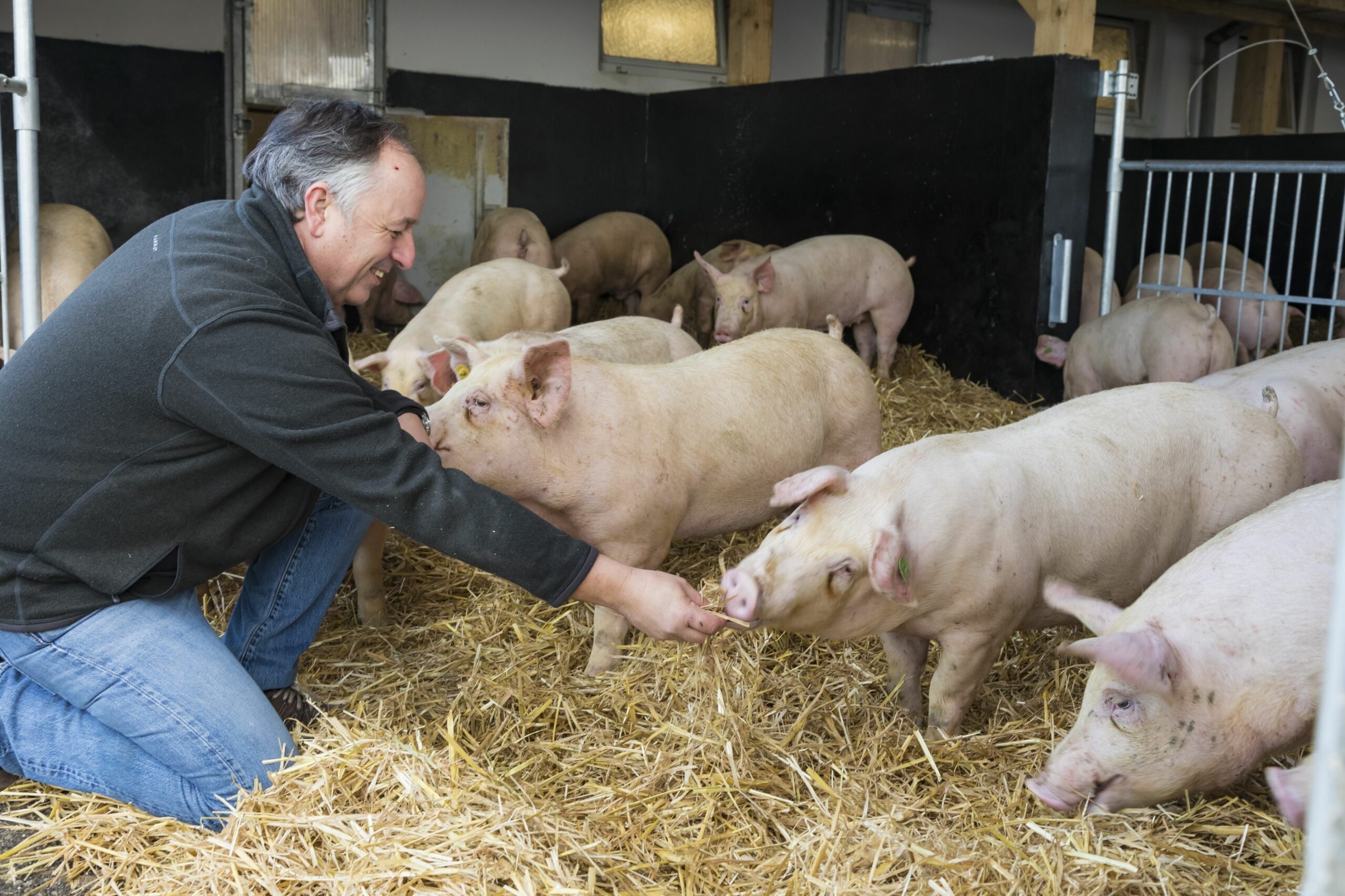 TANN Lieferant Duroc-Mühlenhof mit steirischen Tierschutzpreis ausgezeichnet