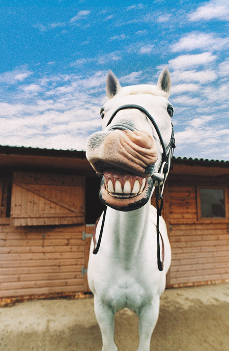 Kaufverhalten unverändert