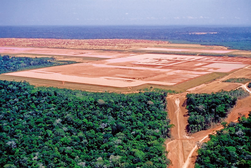 WIFO-Studie: Anteil der Landwirtschaft in der Wertschöpfungskette gesunken