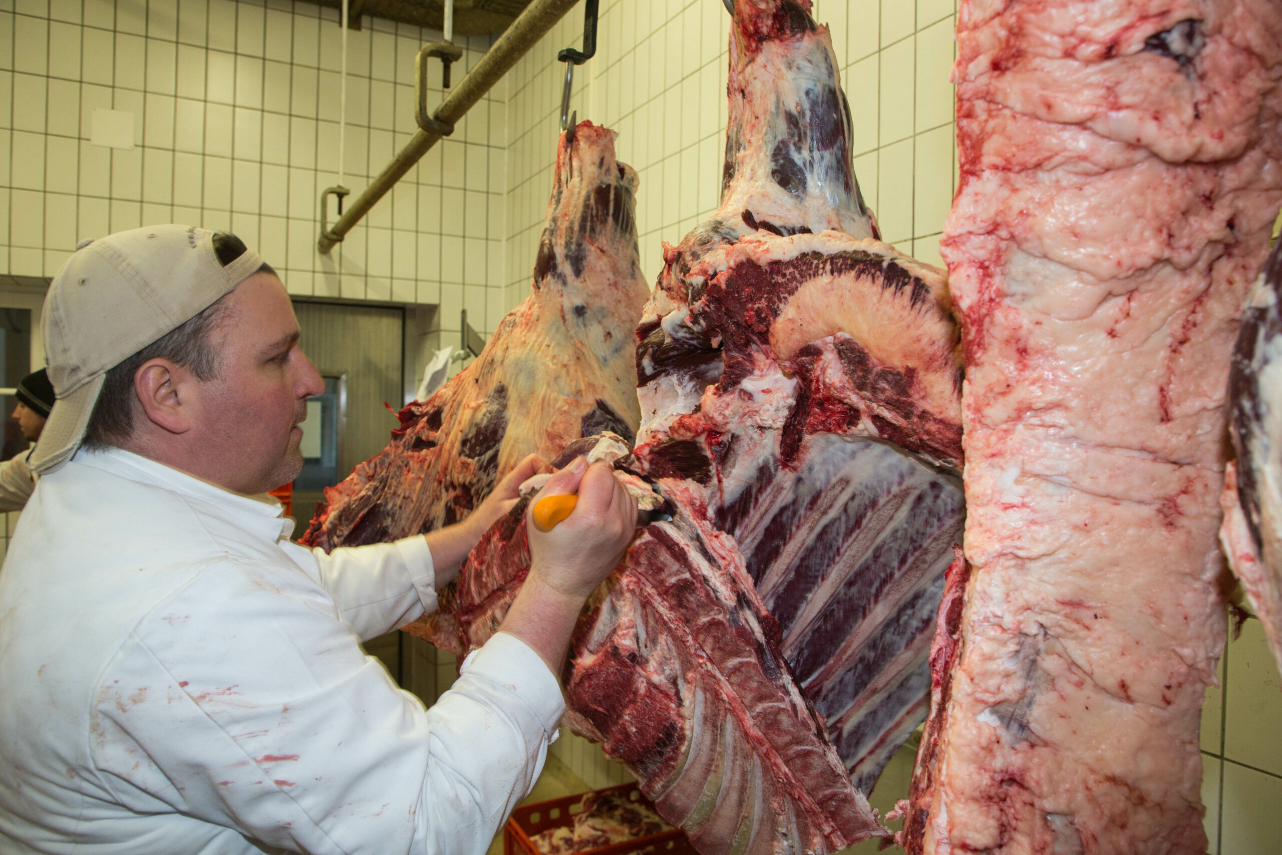 „Fuchserei”: Neue Dachmarke in Grödig