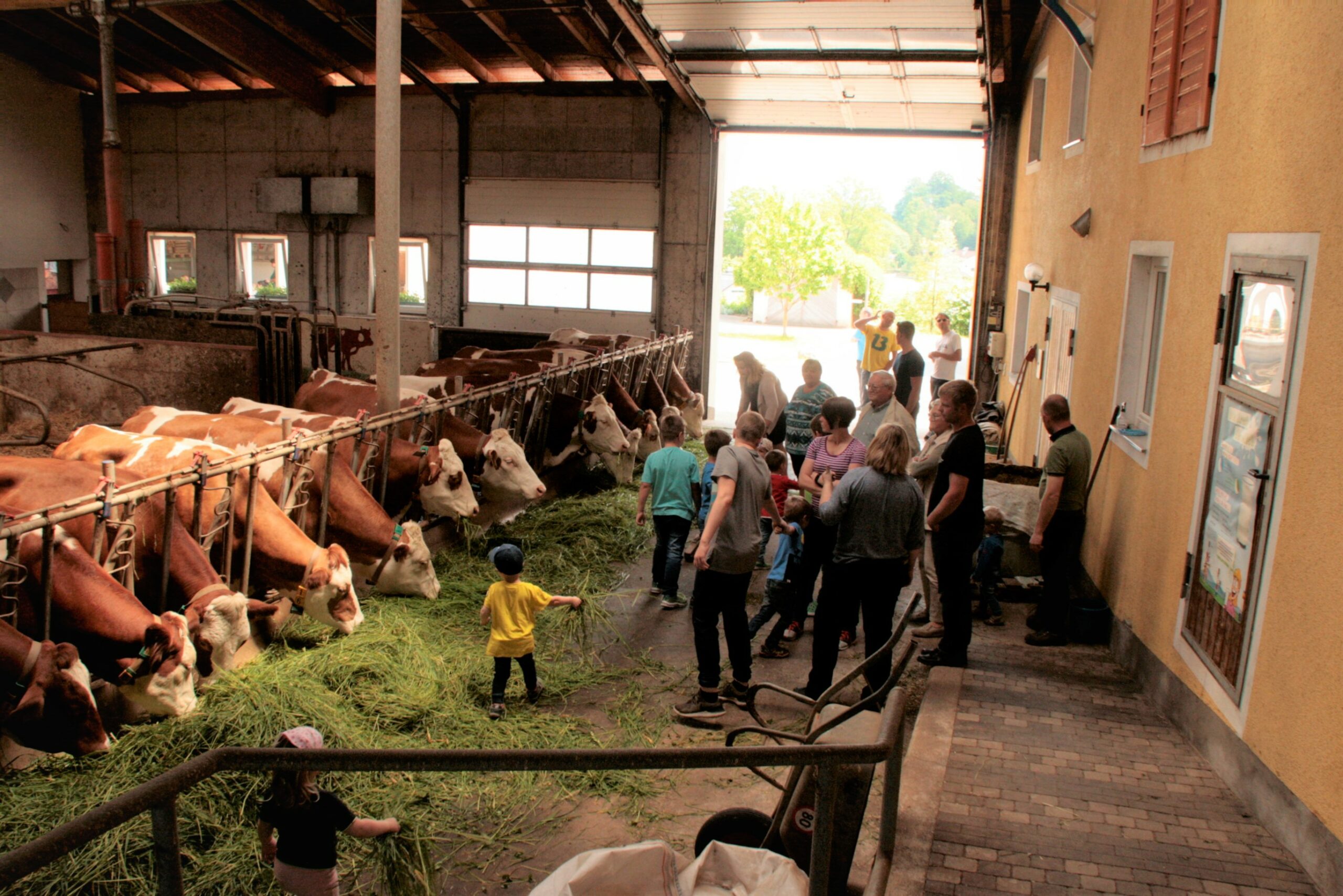 Jungbauernschaft: Tausende Besucher bei Open Bauernhof 2019
