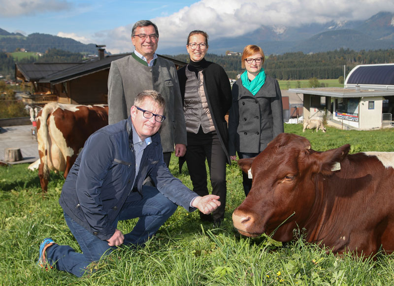 McDonald’s Rinder-Flagship Farm