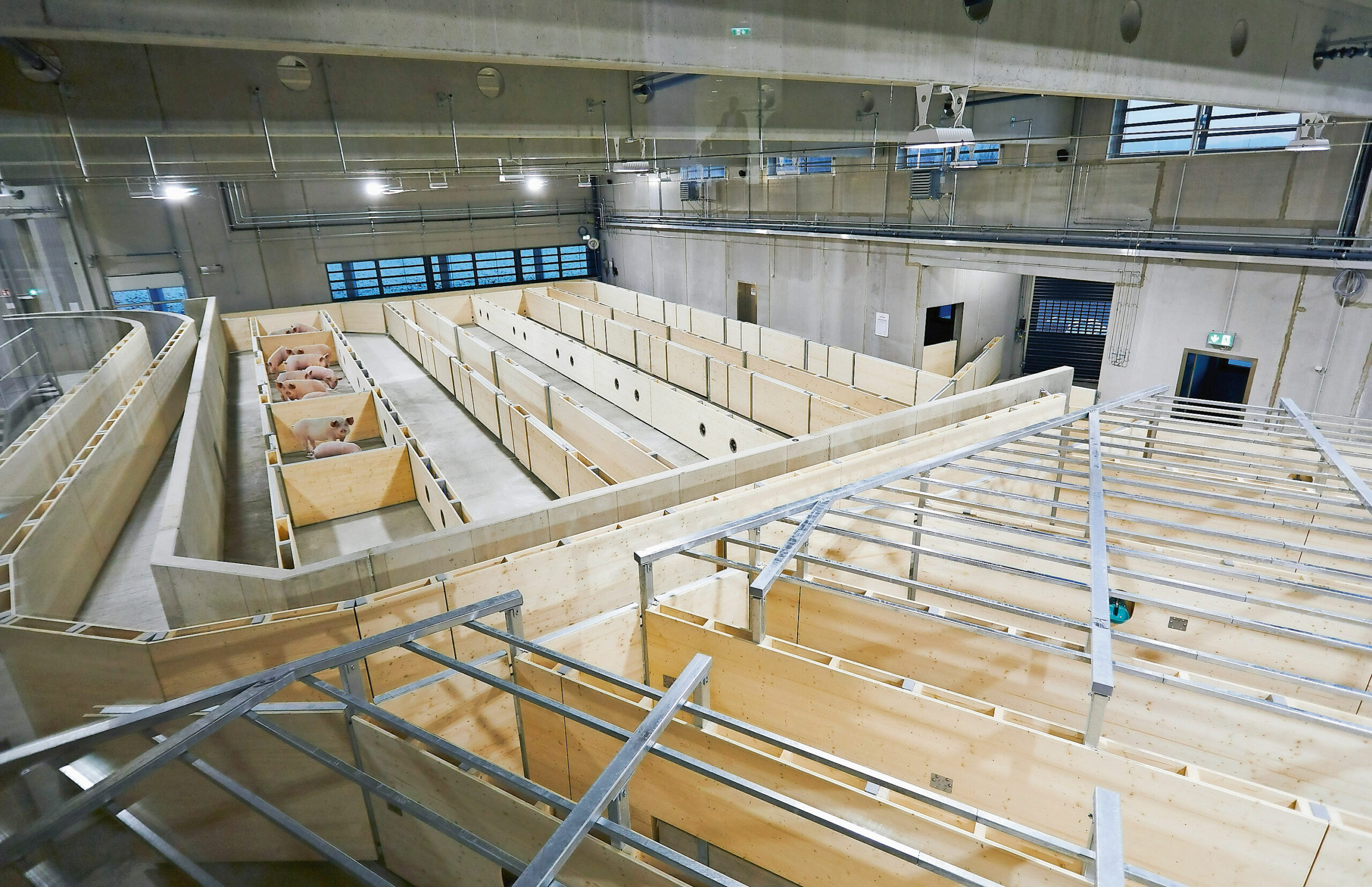 Der gläserne Schlachthof von Hütthaler