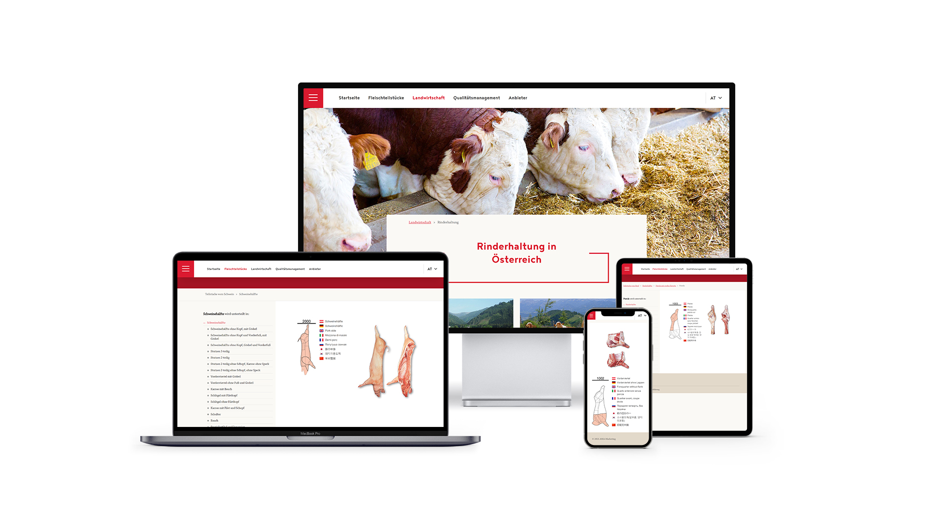 AMA präsentiert neue Webseite