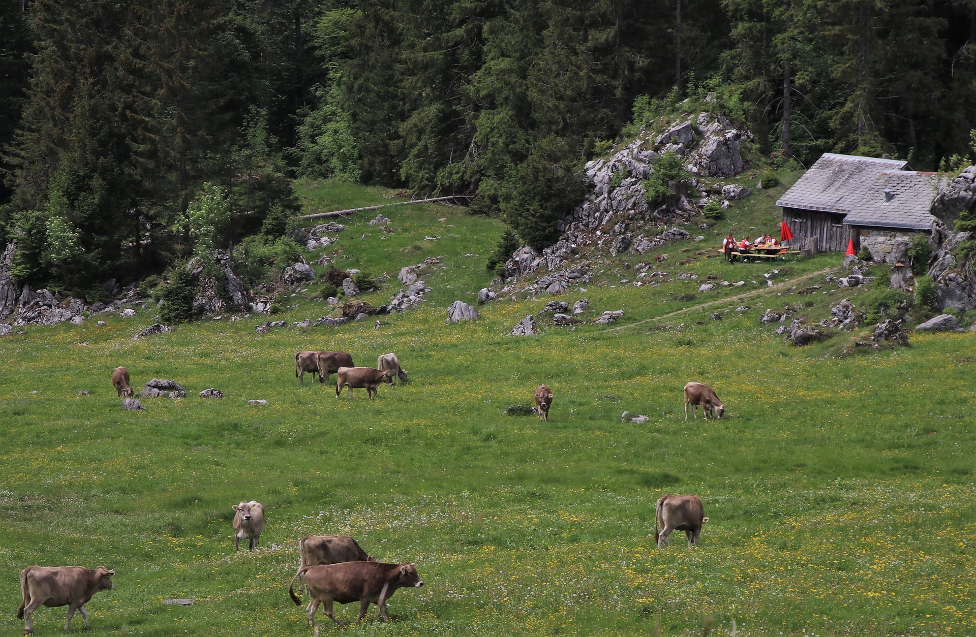 Fleisch aus Australien in Tiroler Bergrestaurant