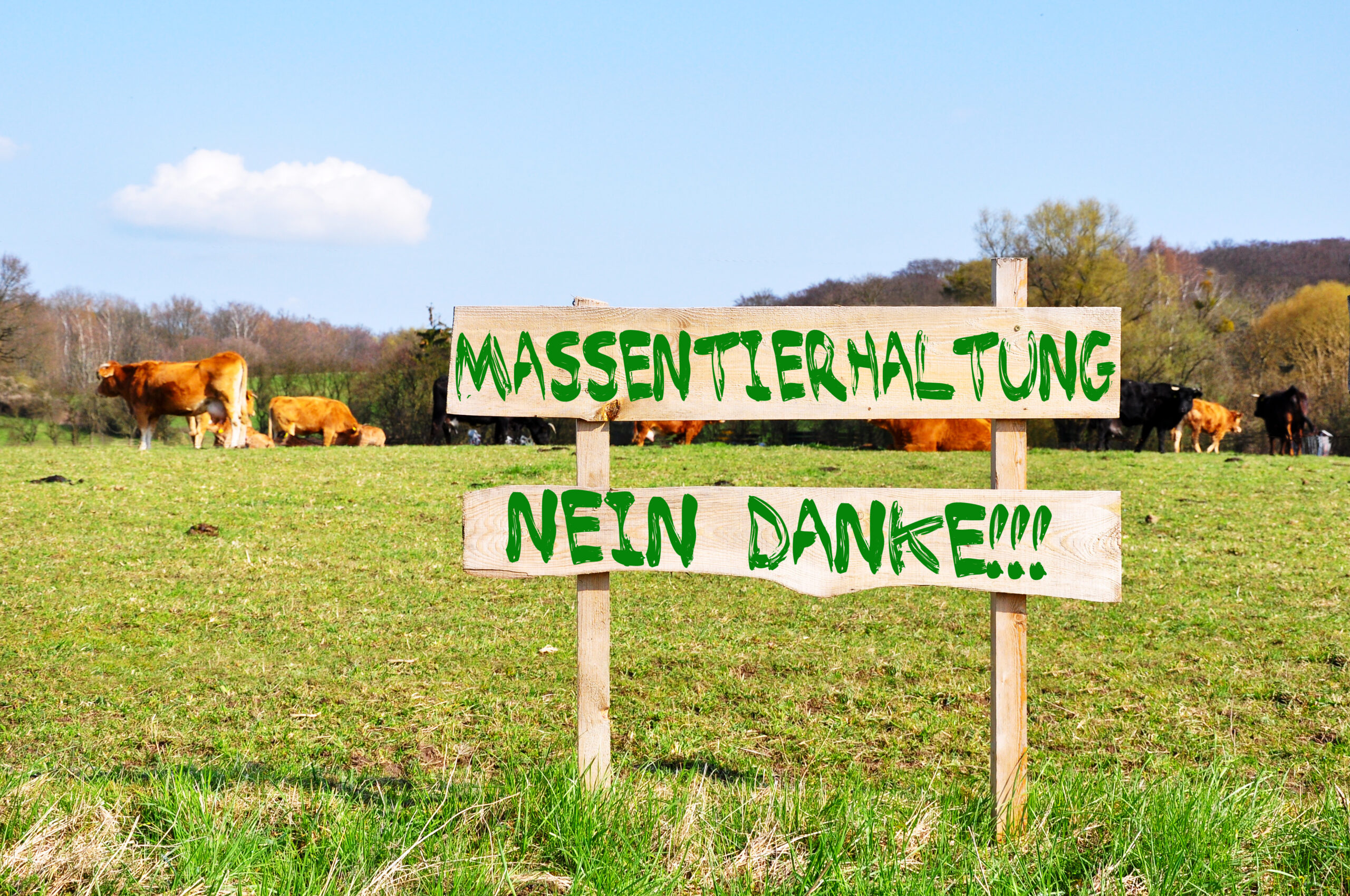 Tierschutztag: Tierschutzvolksbegehren kündigt „Dokumentationsstelle Massentierhaltung“ an und veröffentlicht Abschlussbericht