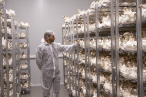 Seit fünf Jahren produziert das Vater-Sohn-Duo Hermann und Thomas Neuburger im oberösterreichischen Ulrichsberg vegetarische Bio-Schmankerln namens „Hermann“.