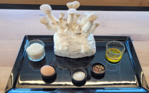 Nach 5.000 Versuchen brachten Hermann und Thomas Neuburger im September 2016 Produkte auf den Markt, die sich auf das Wesentliche konzentrieren. Aus Kräuterseitlingen, Reis, Hühnerei­ Eiweiß, Rapsöl und Gewürzen entstehen mittlerweile sechs vegetarische Produkte.