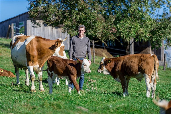  „Ich bleib am Hof“: Biofleisch verringern Kälbertransporte