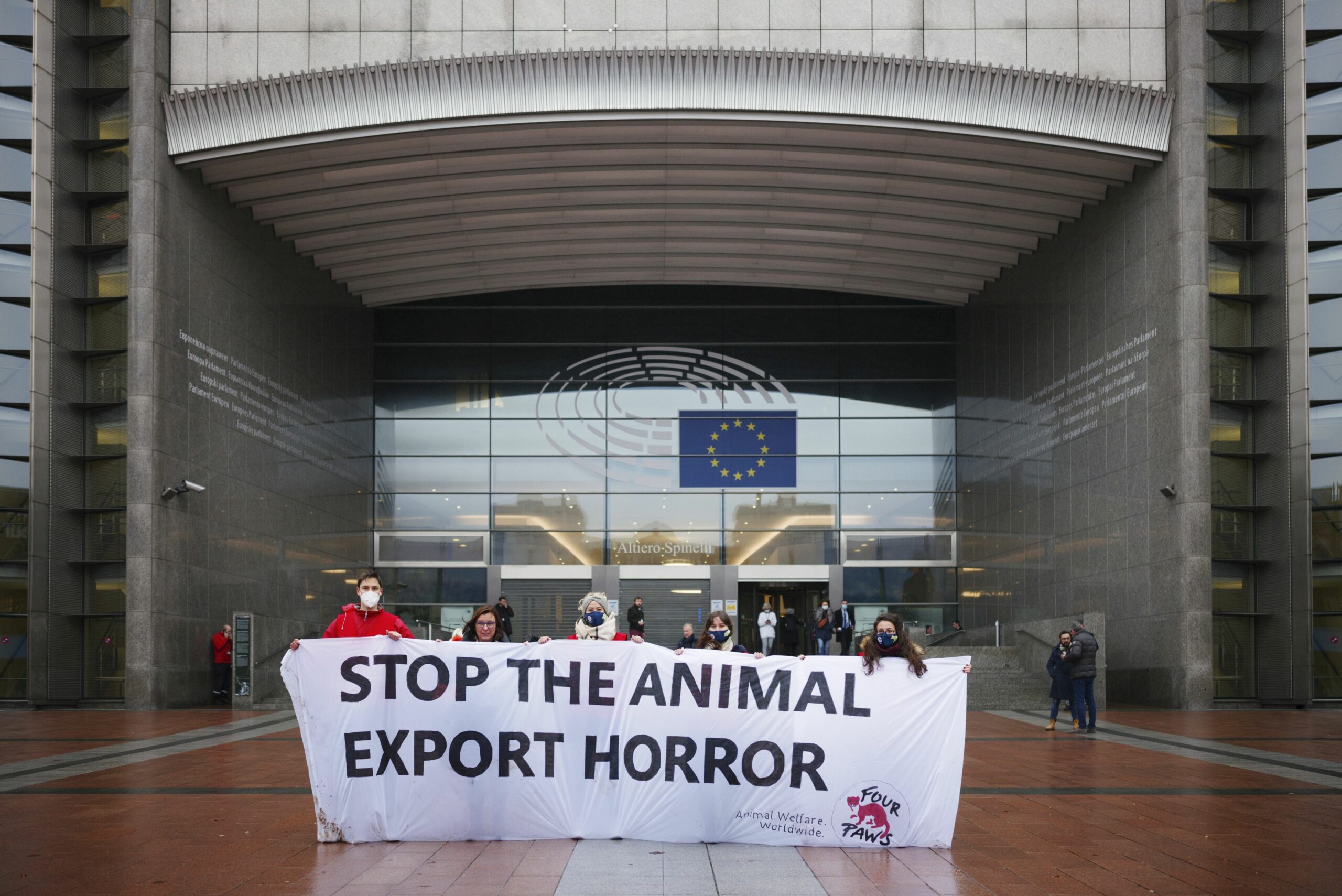 Untersuchungsausschuss zu Tiertransporten legt Bericht vor