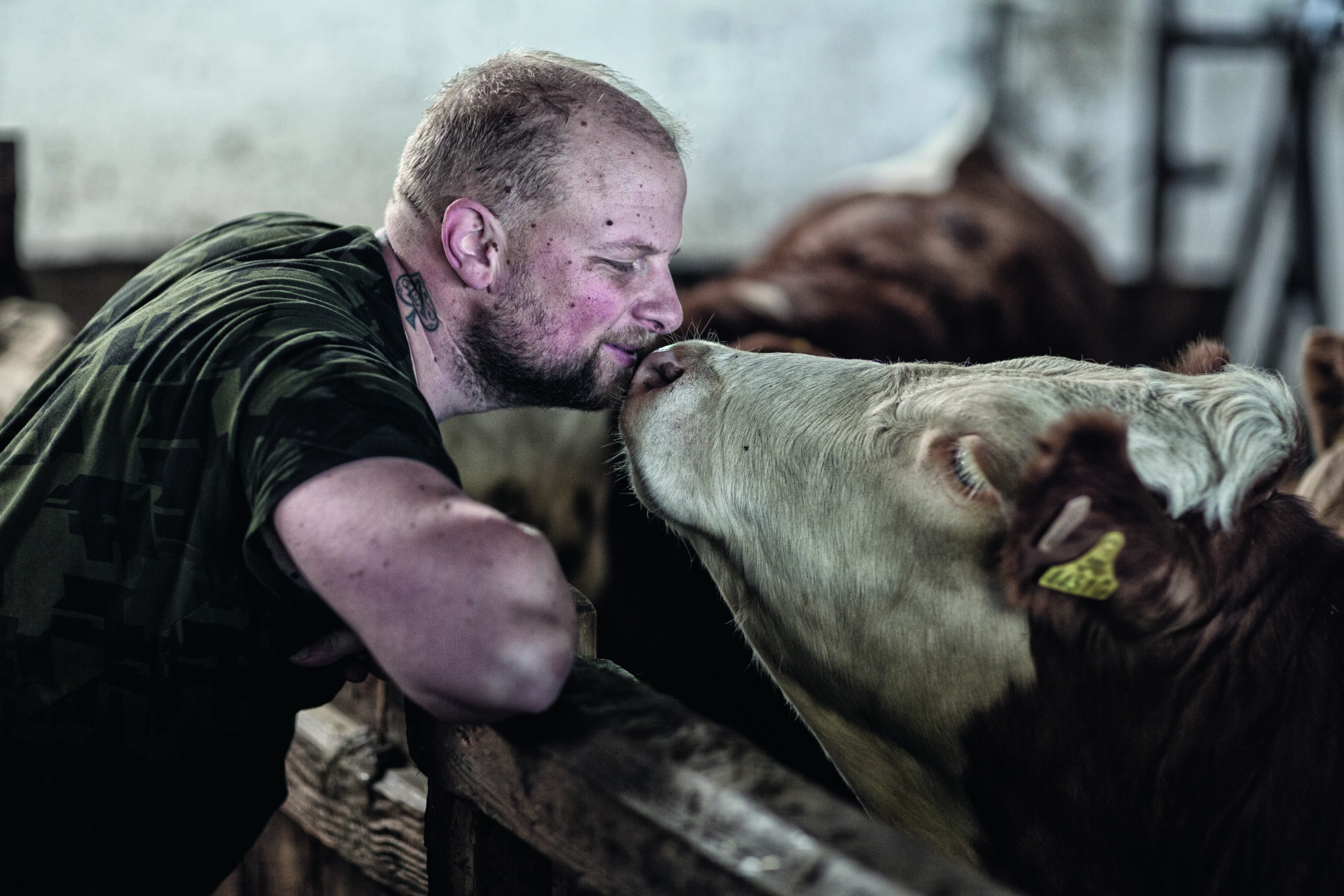Hannes Hönegger: Vom „Knacki” zum Kalbfleisch-King