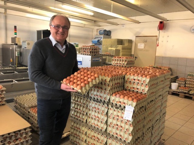 Geflügelwirtschaft warnt vor drohender Unterversorgung bei Eiern