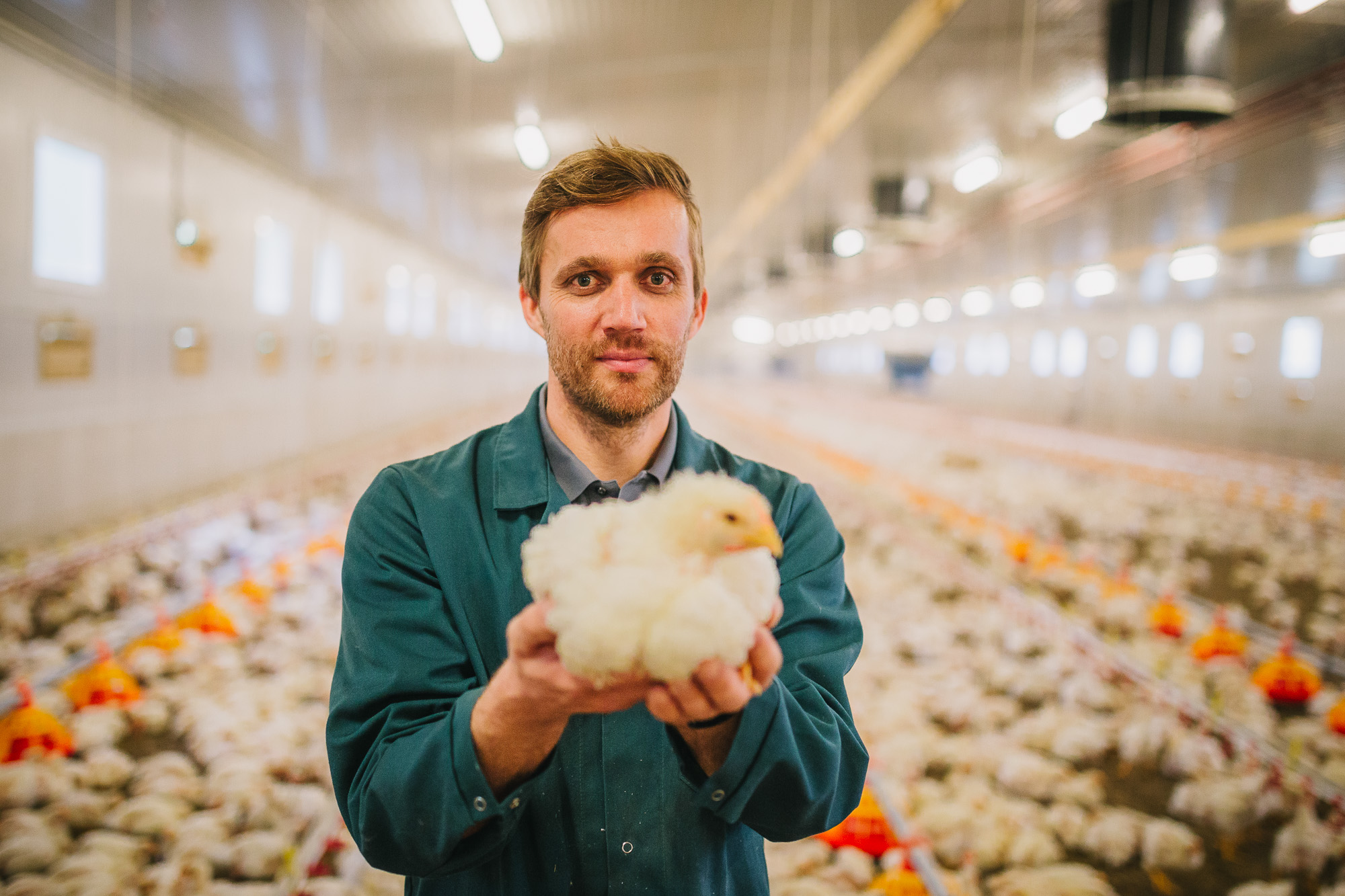 Geflügelwirtschaft verurteilt Verstoß gegen Tierschutzgesetz