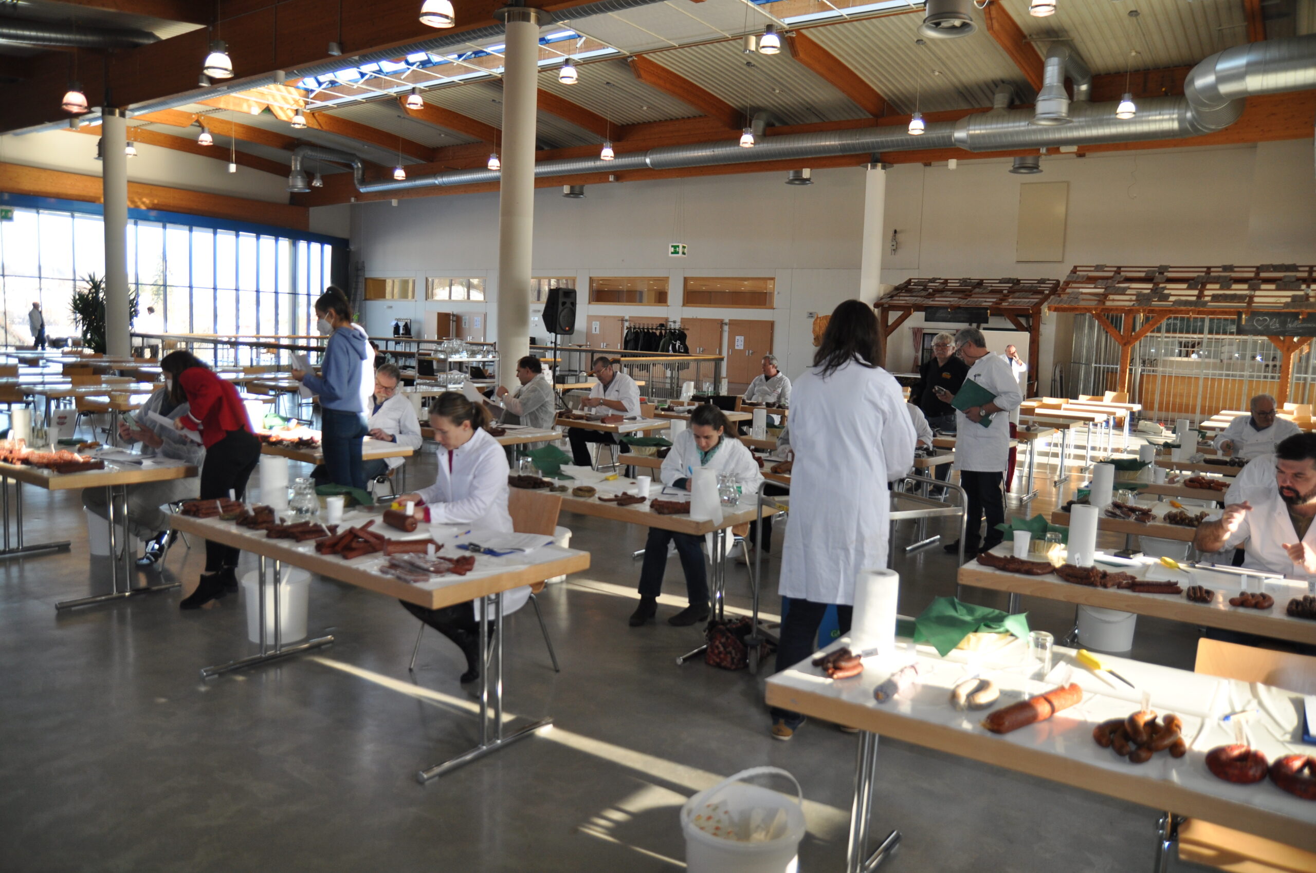 Speck & Blutwurst unter die Lupe genommen