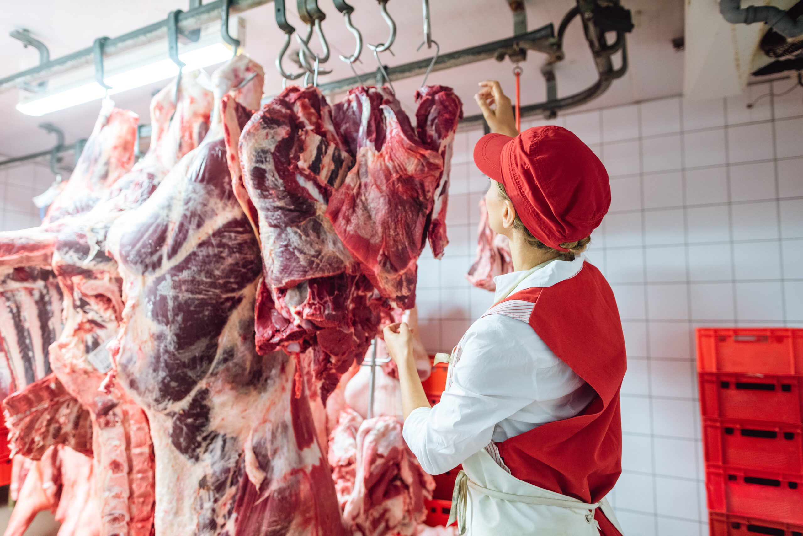 Bittere Pleite der MEAT Work GmbH in Straden: Ein Rückblick auf den Niedergang