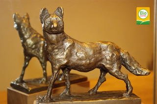 BIO AUSTRIA: Klimafit zum Bio-Fuchs 2022