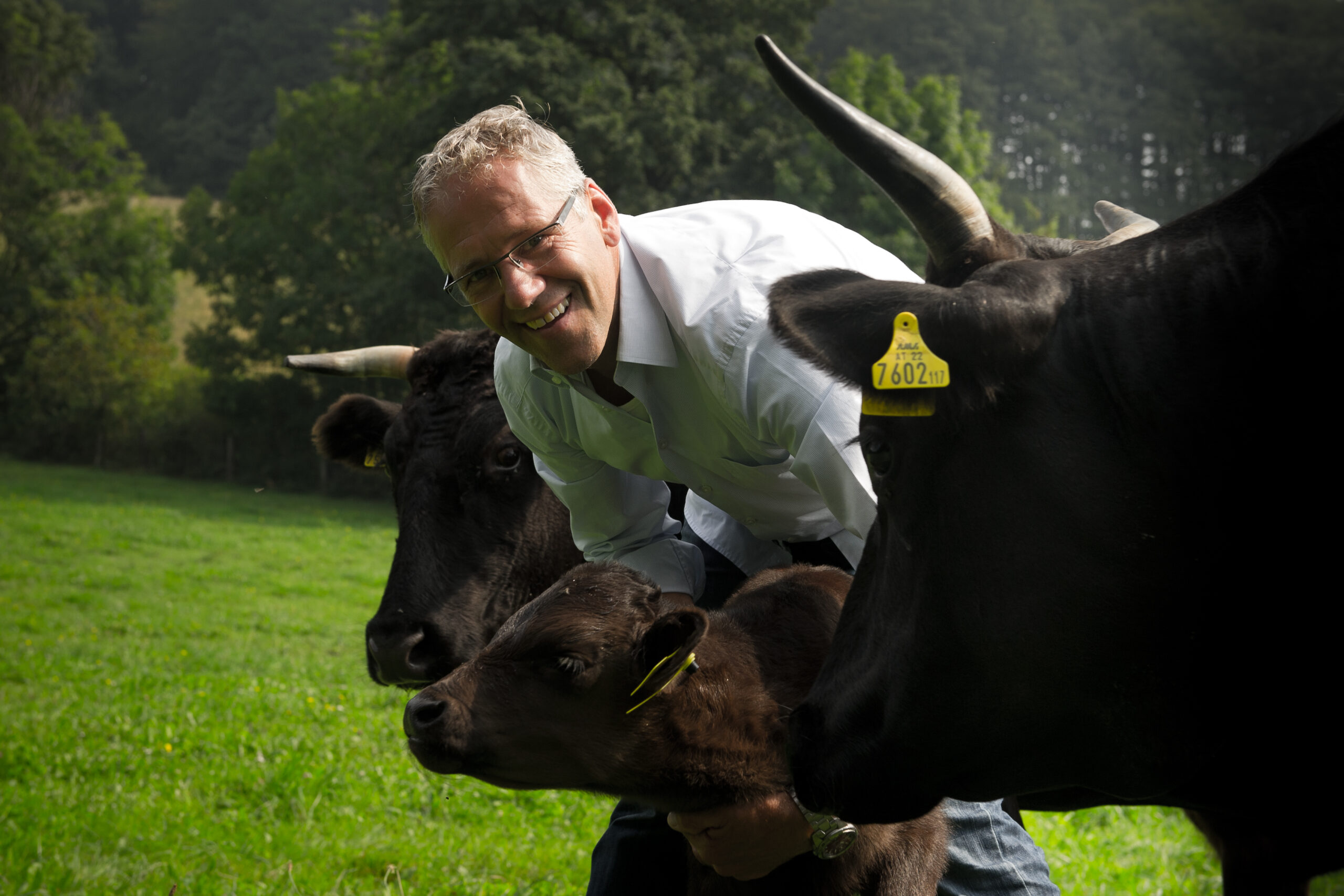 Mit Brüssel geklärt: Kobe Beef Austria als uneingeschränkte Marke bestätigt