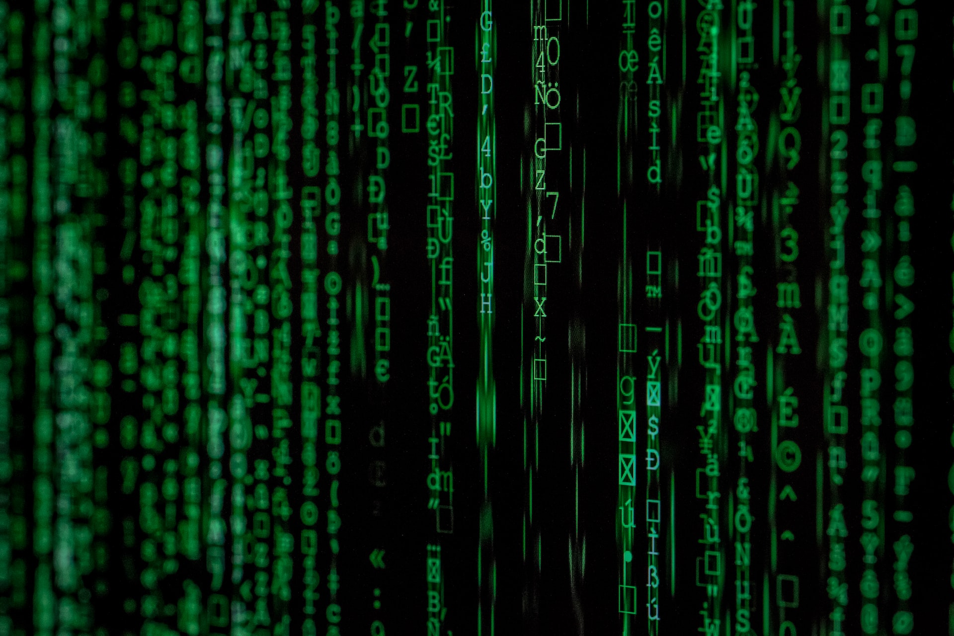 Künstliche Intelligenz in Kuh – und Schweinestall