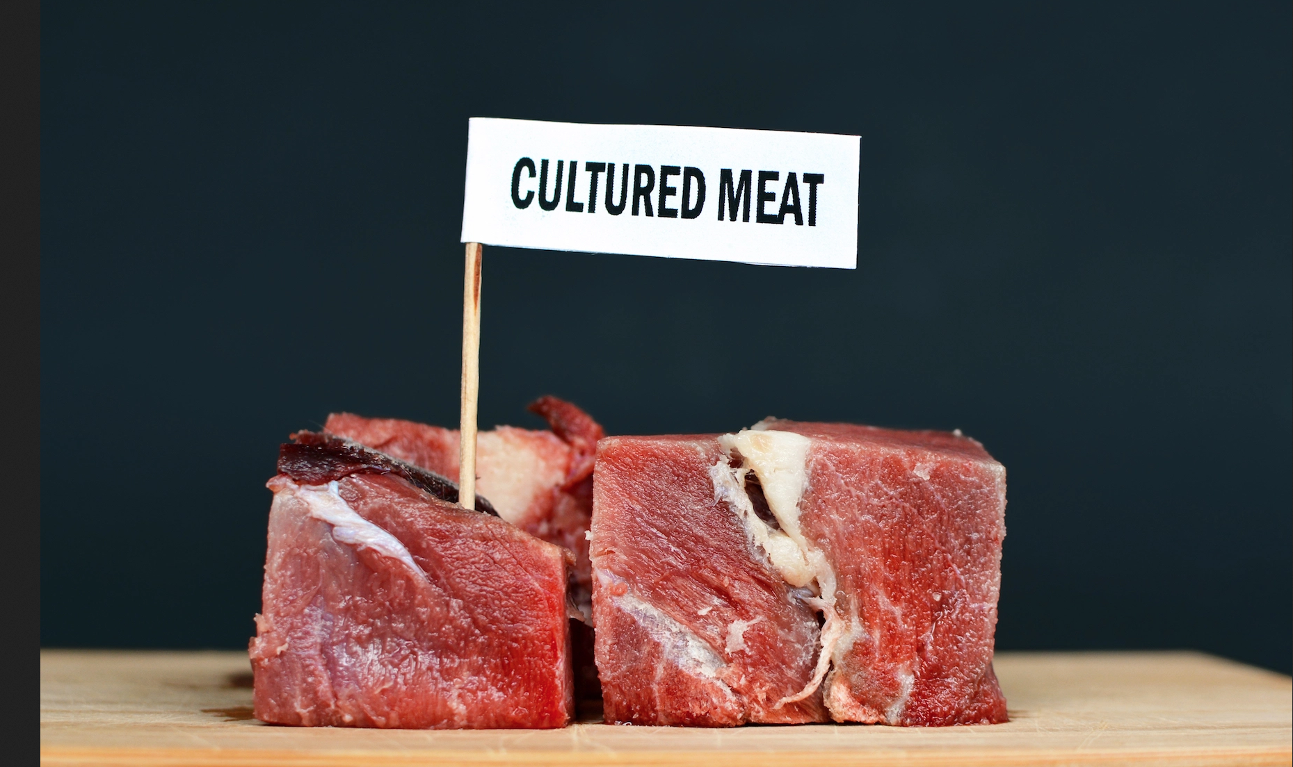 Zukunft der Fleischproduktion: Laborfleisch als Antwort auf globale Herausforderungen?