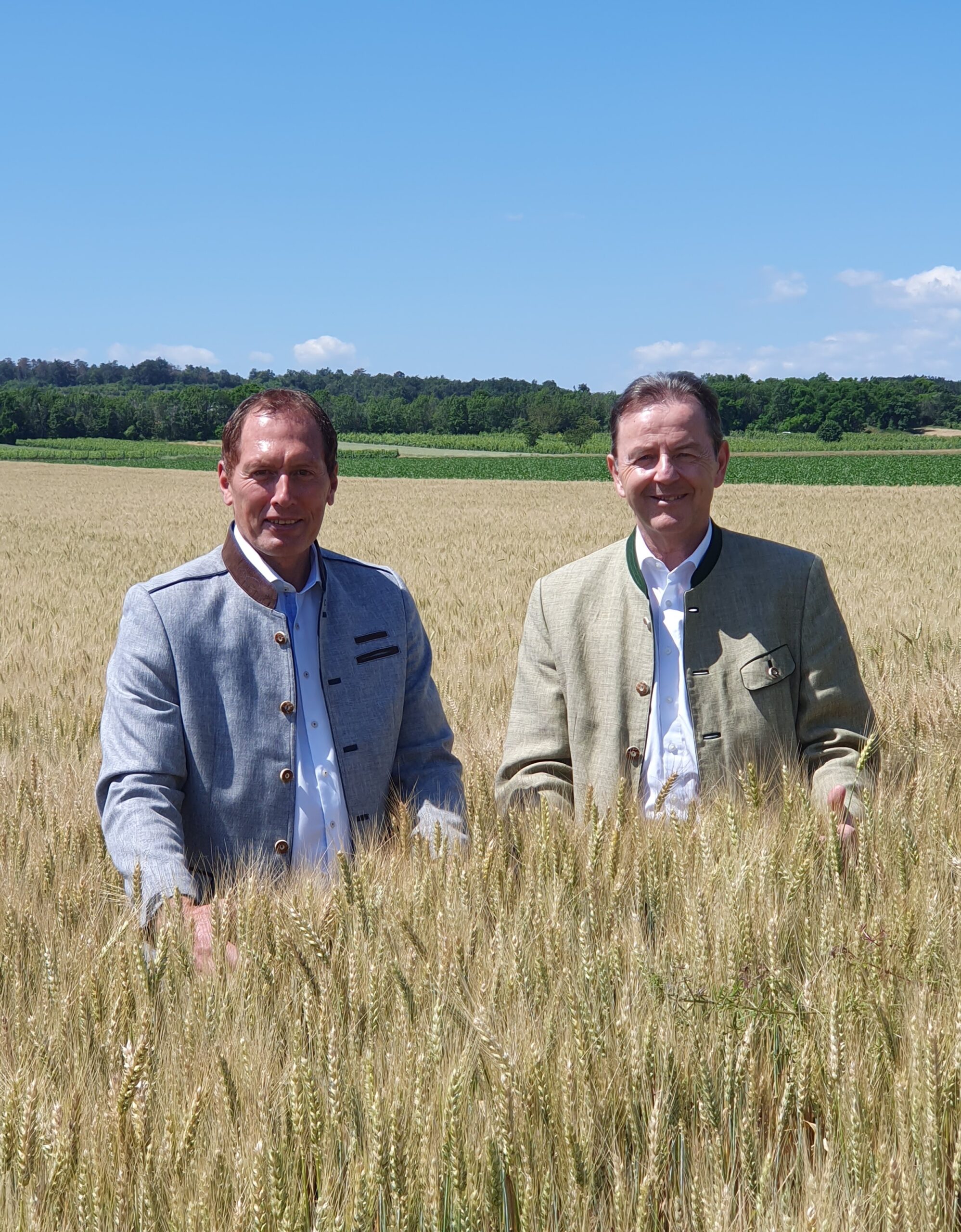 Getreideernte 2023: Trübe Stimmung trotz sonniger Ertragsaussichten