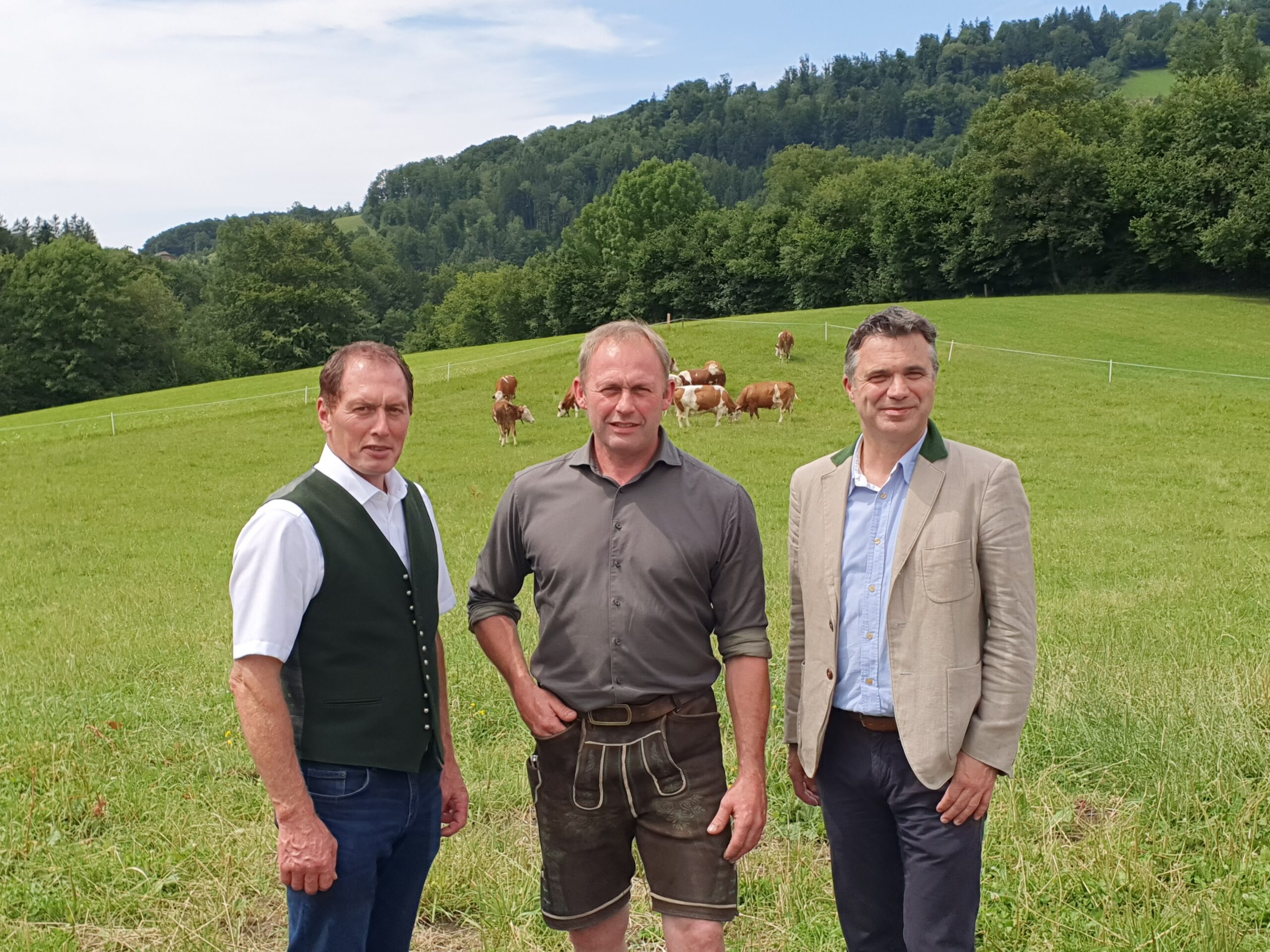 Alm- und Weidewirtschaft erhält die  Lebensvielfalt in Salzburg