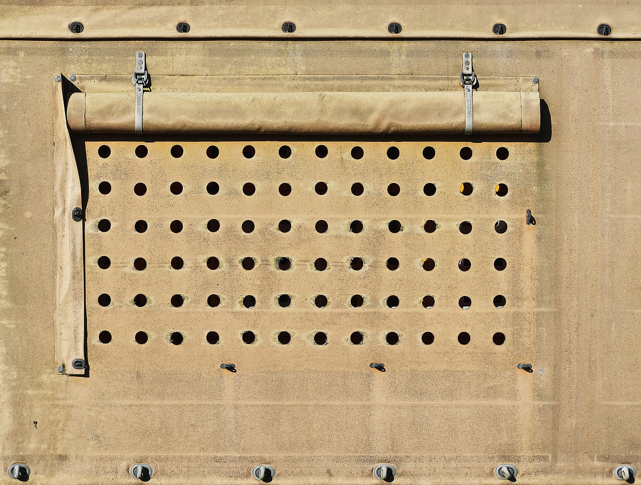 Neues EU-Tiertransportgesetz: Ein Fortschritt, aber noch Raum für Verbesserungen