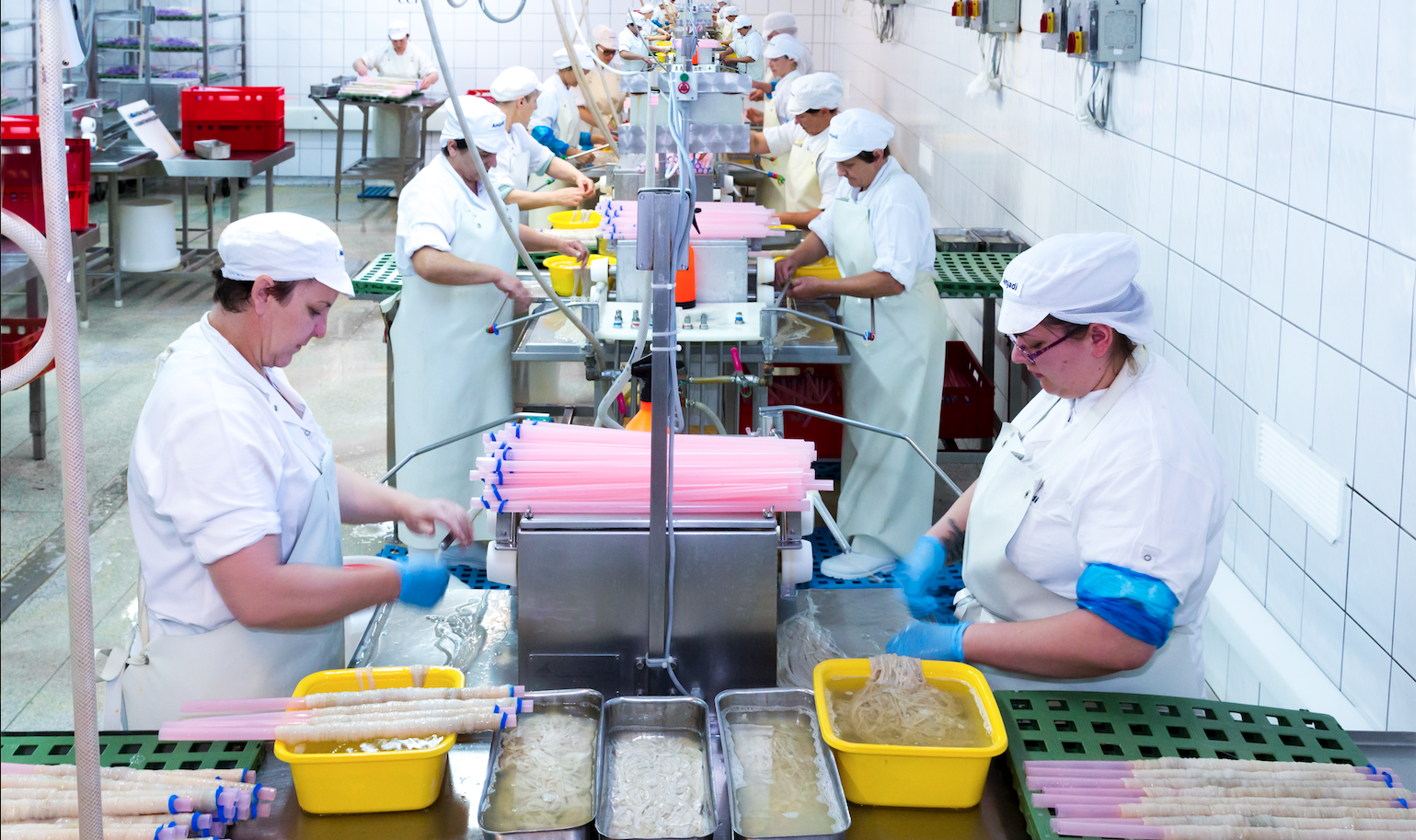 Wurst-Produktion: Warum Saitlinge von Amjadi eine gute Wahl sind