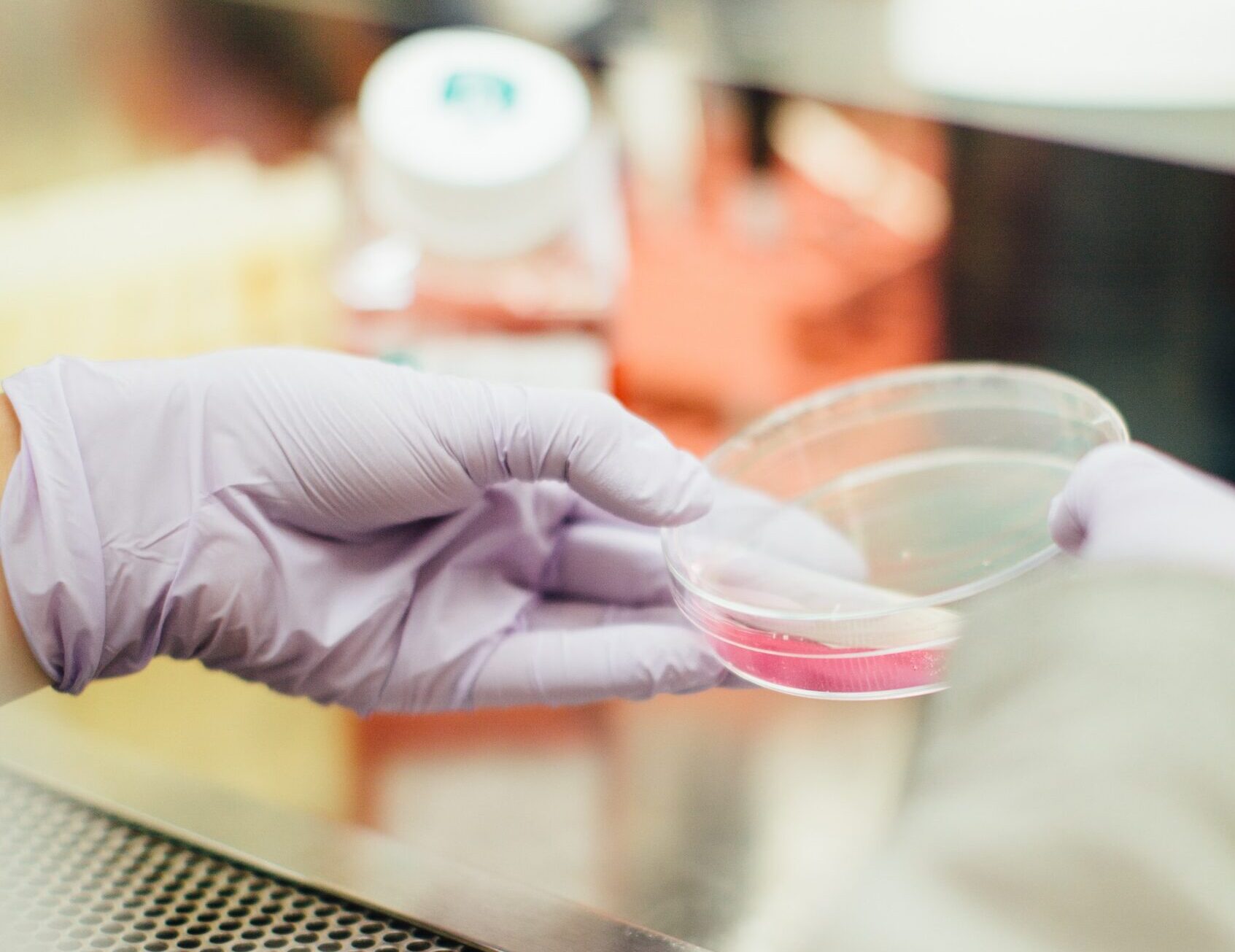 Debatte um Laborfleisch in Österreich: Parteien im Dialog über die Zukunft der Lebensmittelproduktion