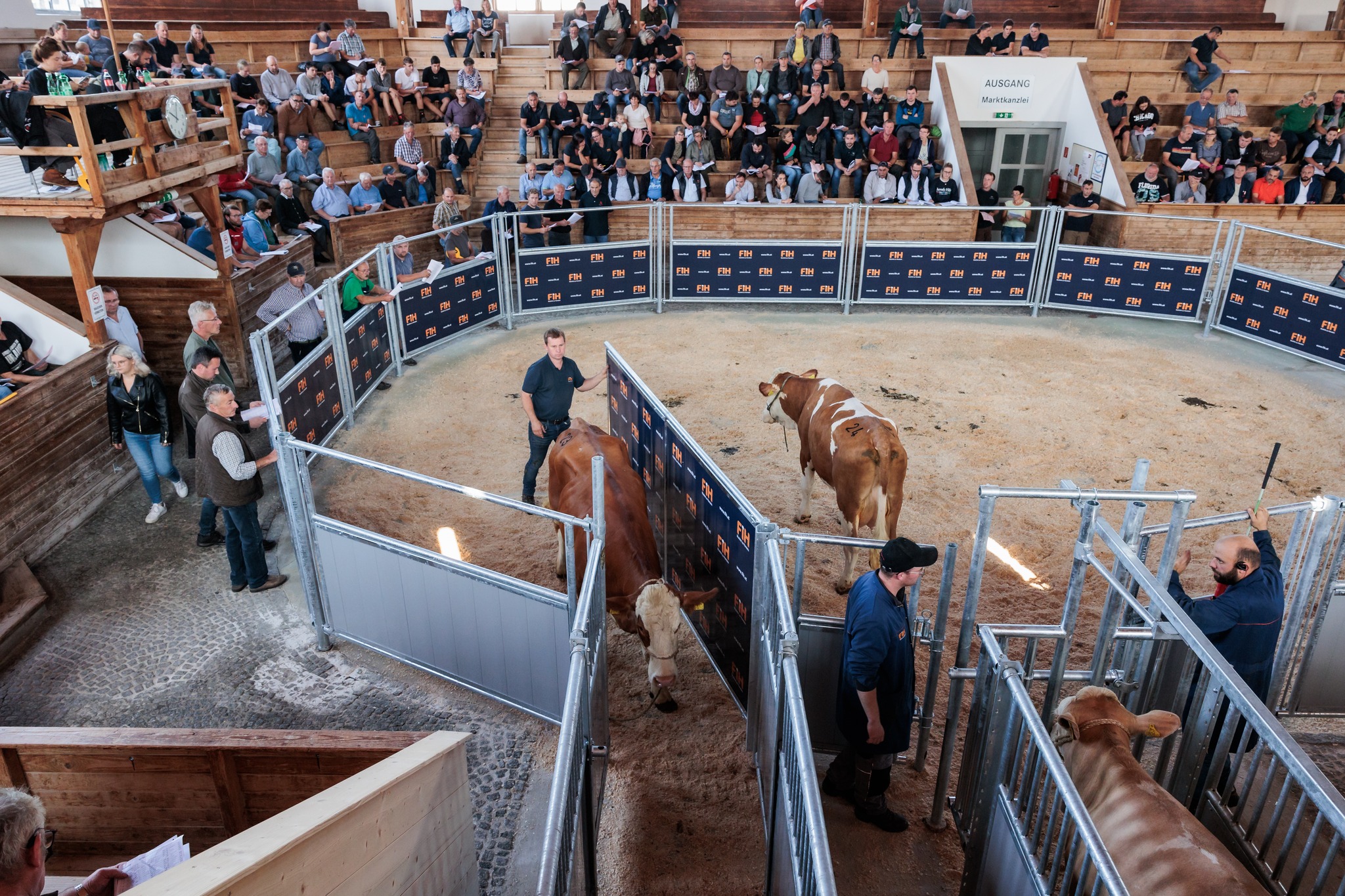 Fleckviehzuchtverband Inn- und Hausruckviertel: Neuer Versteigerungsstall in Ried
