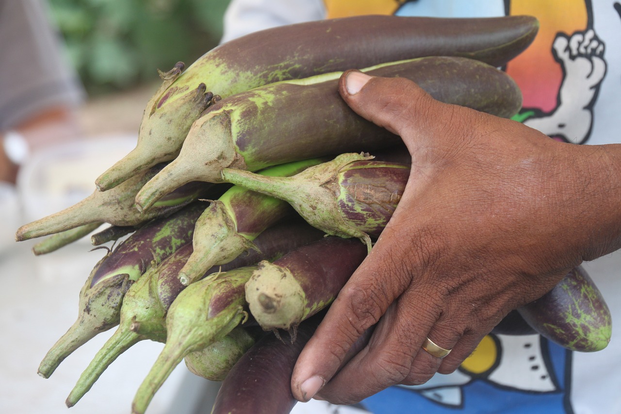 BIO AUSTRIA: Berichterstatterin des EU-Parlaments plant die Zulassung von Gentechnik in der Bio-Landwirtschaft