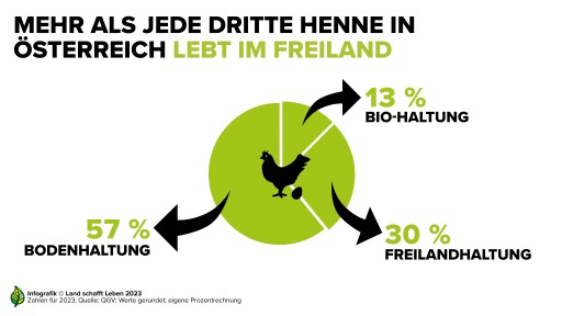 Versteckte Käfighaltung in österreichischen Lebensmitteln: Der Eierkonsum anlässlich des Welteitages