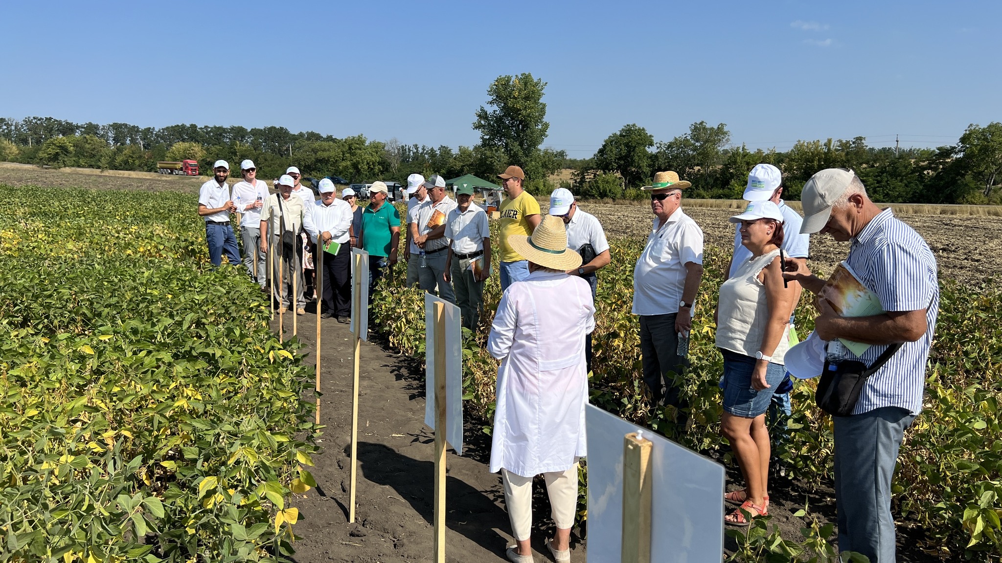 Donau Soja: Republik Moldau steigert Sojaernte 2023 und erhöht  damit die Marktchancen in der EU