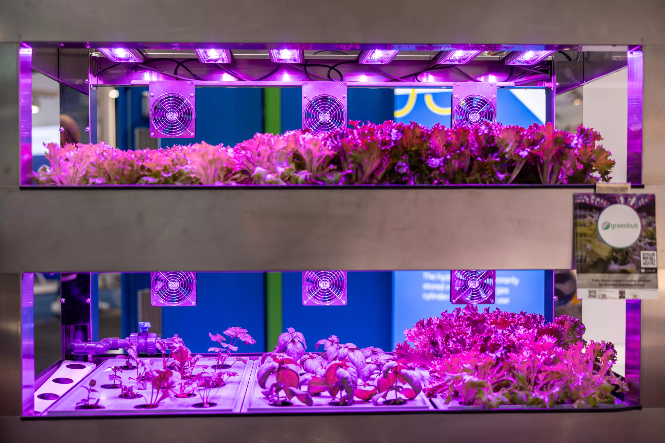 Zukunft der Ernährung: „Inhouse Farming – Feed & Food Show 2024”- Themen der Agrar- und Foodbranche im Fokus