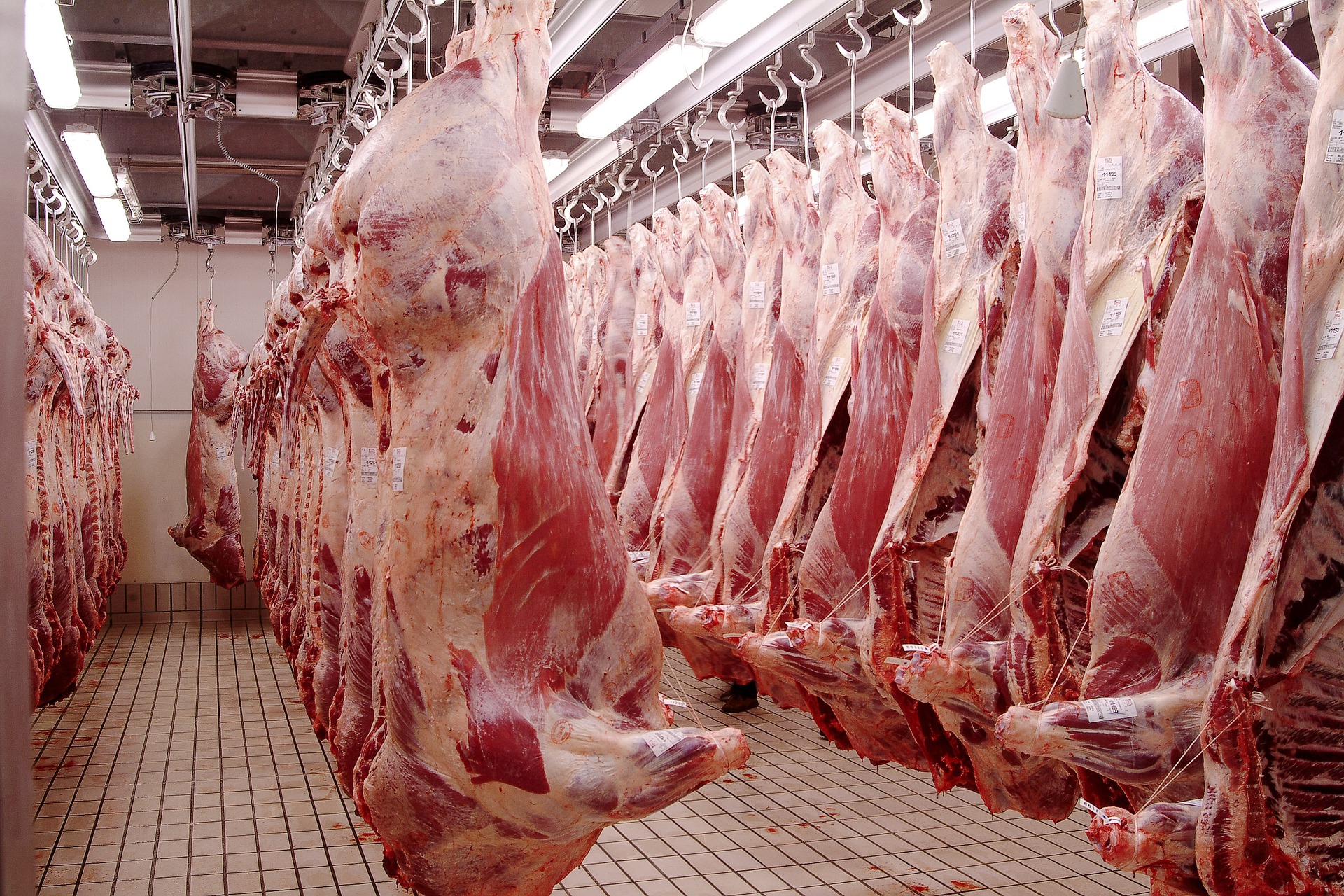 Der aktuelle EU-Fleisch- und Schlachtviehmarkt: Die Kurse bleiben stabil