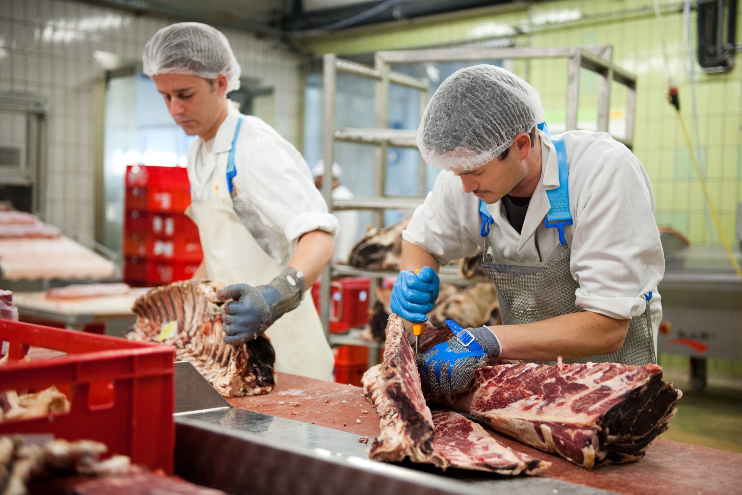 Effiziente Digitalisierung: So unterstützt EDITEL KARNERTA bei der Integration neuer Technologien