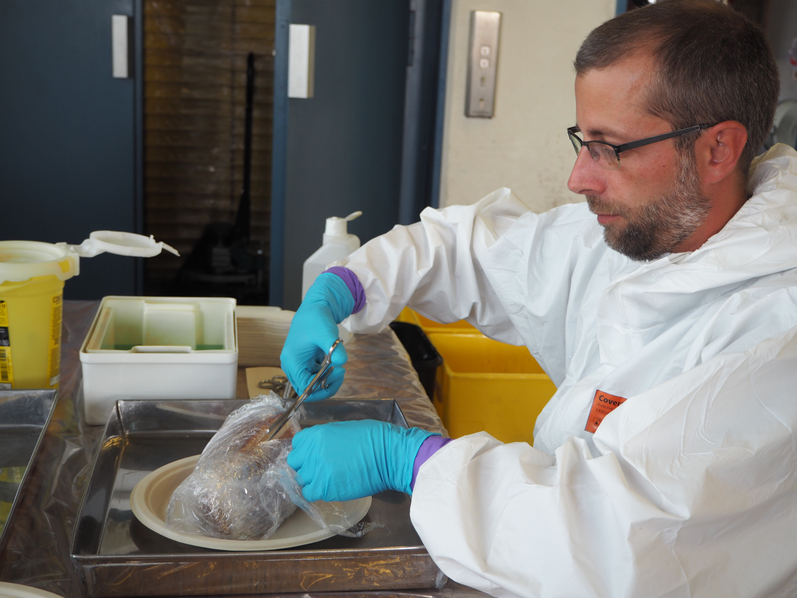 „Aktion scharf! – Schweinefleischkontrollen zum Schutz der Tiergesundheit“