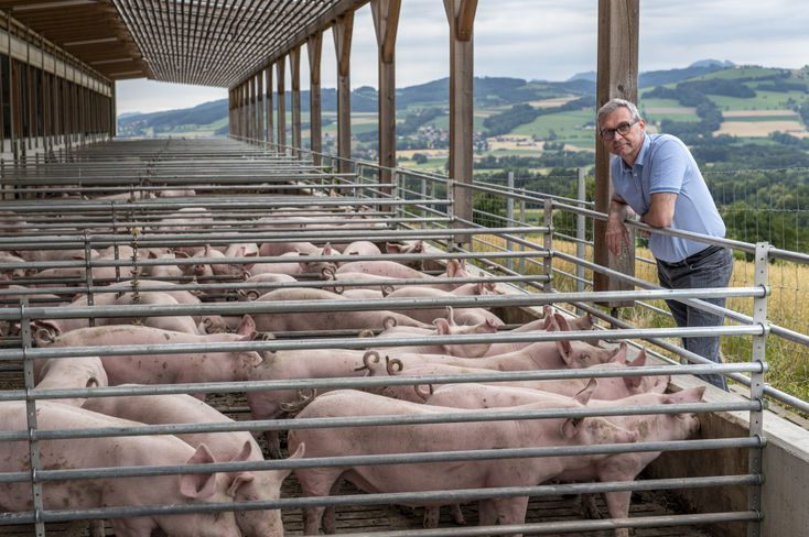 Tierschutz in Österreich: Österreichs Landwirte fordern praxistaugliche Lösungen