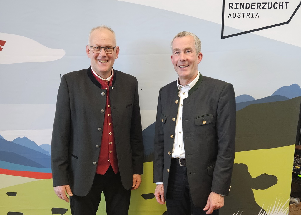 Rinderzucht in Österreich: Zwischen Tierseuchen, Exportdruck und digitalen Innovationen