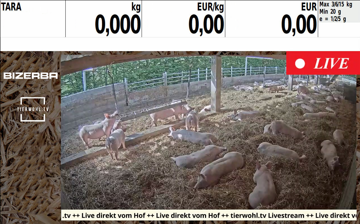 Alle Tiere im Blick: Stallbesuch an der Verkaufs-Theke