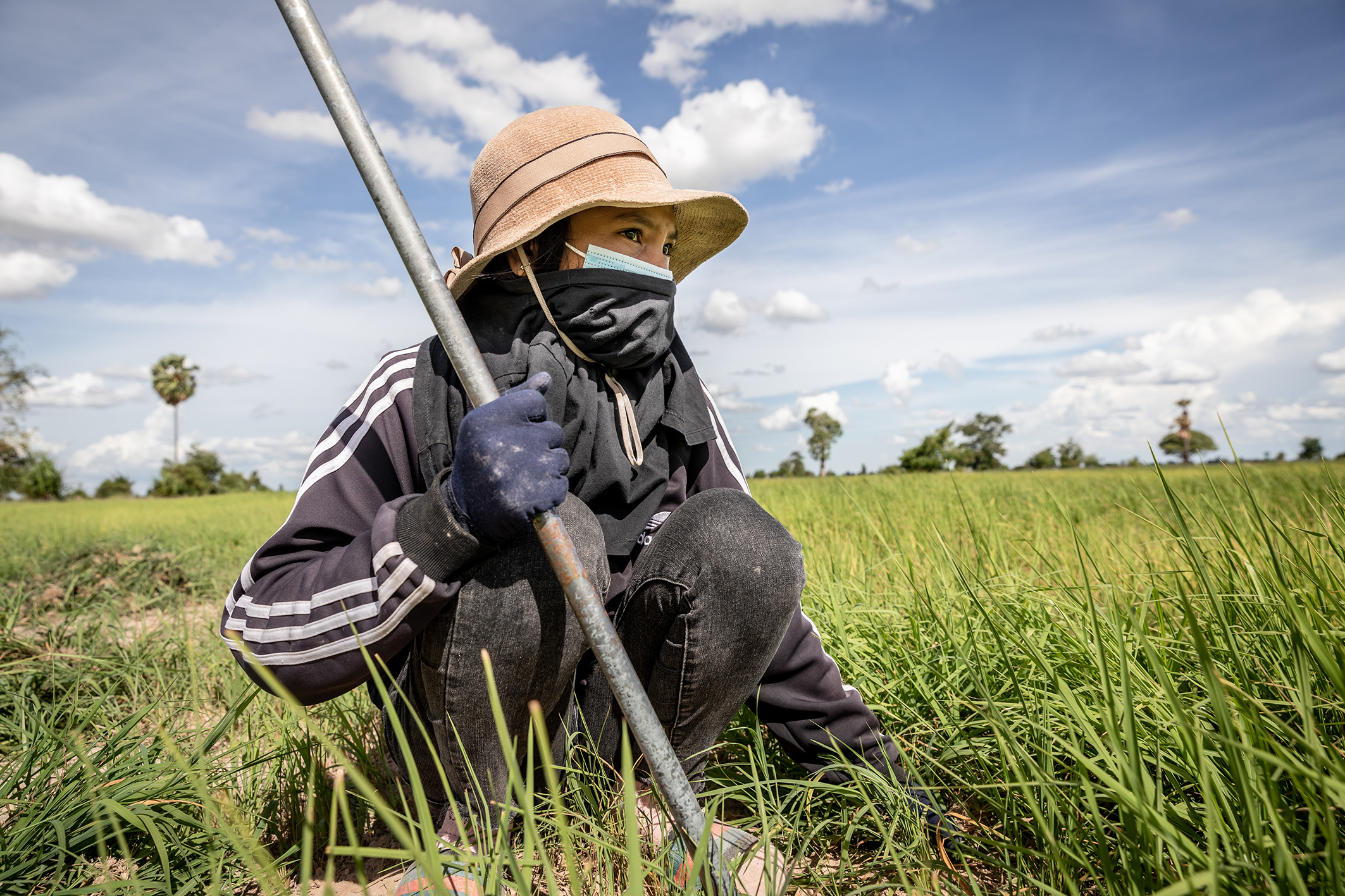 Weniger, aber besser: Warum die Zukunft des Fleisches biologisch und regional ist