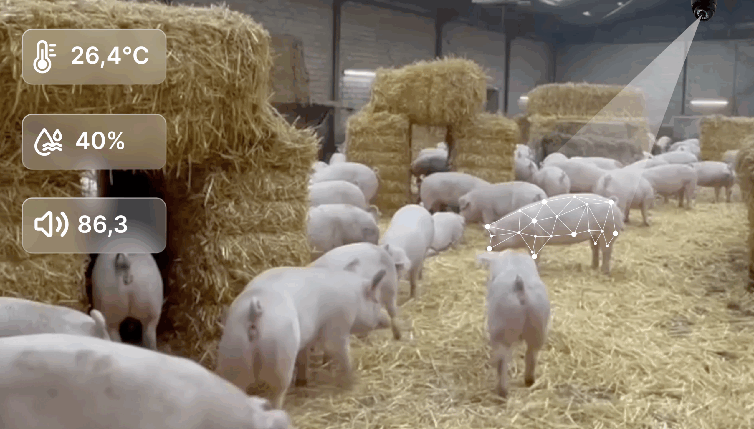 GENBA-Systeme: Revolution im Tierschutz – KI und Sensorik für Schlachtbetriebe