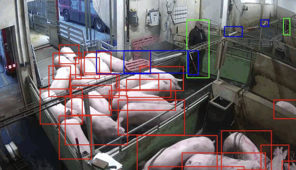 KI-Monitoring bereits bei der Abladung der Tiere. © Beigestellt