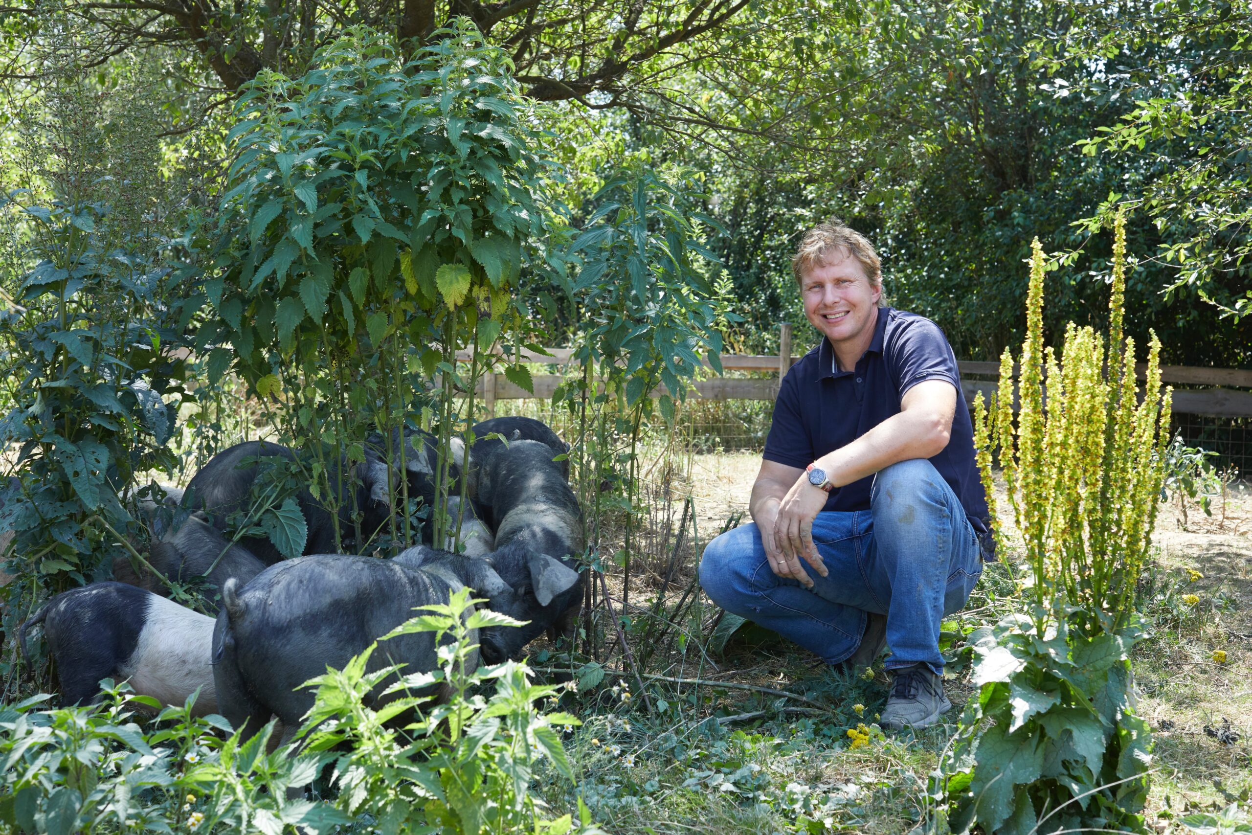 Das Sonnenschwein ist zurück: Neustart mit Bio-Fleisch